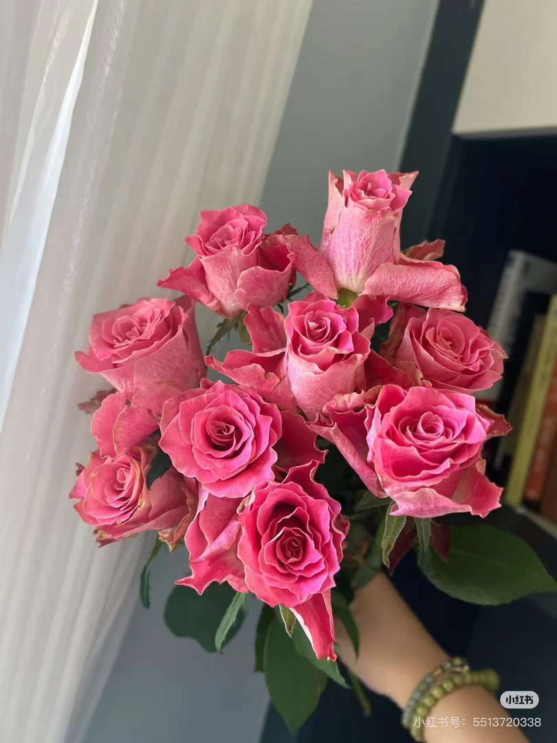 切花玫瑰  日本故事