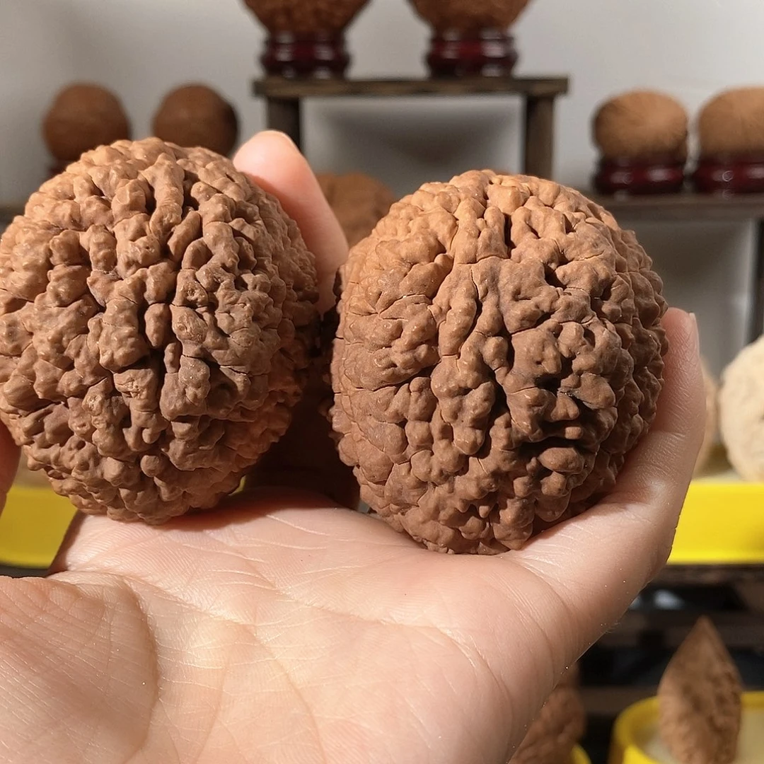 文玩核桃把件刺龙微瑕5361