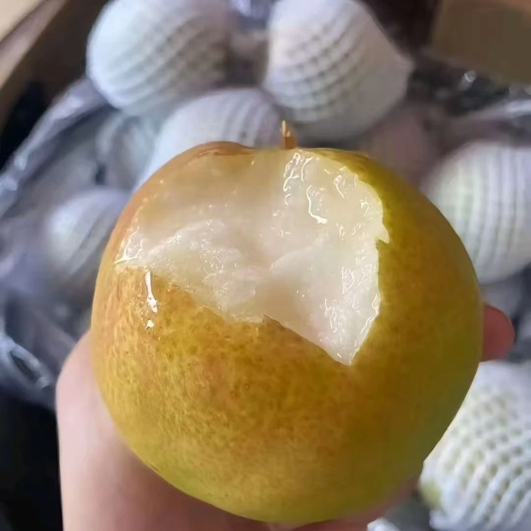 新疆库尔勒薄皮香梨，皮薄肉厚味甜多汁核小化渣