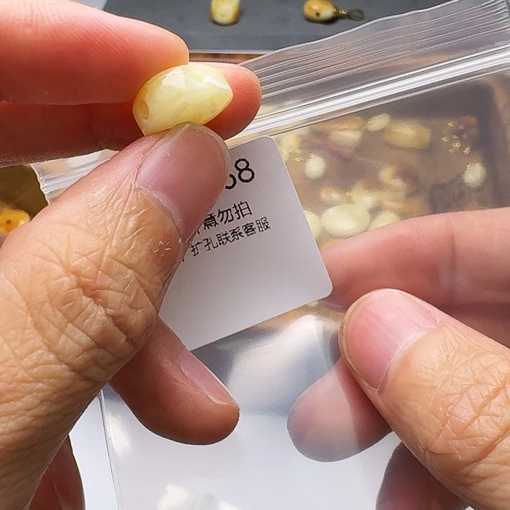 裸石琥珀未镶嵌琥珀