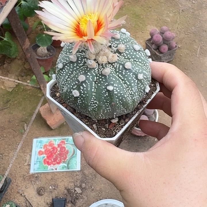 每***样哈哈哈哈哈哈哈哈哈哈