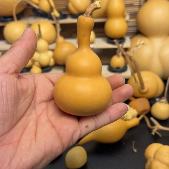 ?****力1256568996999