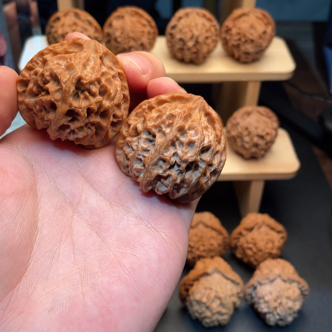 核桃三角桩型苹果园全品无修无药