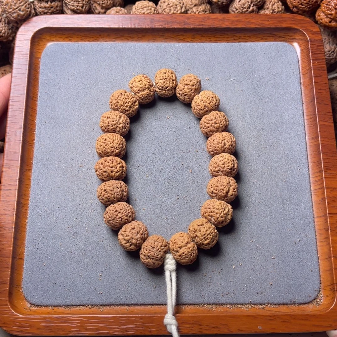 菩提籽类38号金刚菩提蜂王16+