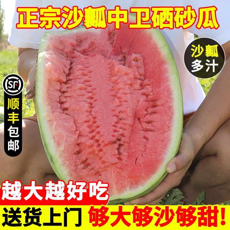 正宗宁夏沙瓤中卫硒砂瓜西瓜现摘沙瓤多汁新鲜水果应季当季水果