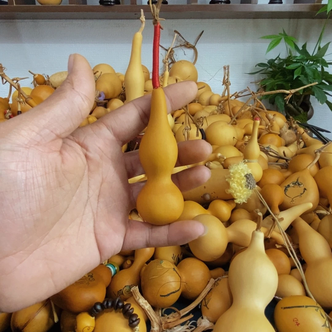 青***影直播间链接，文玩葫芦