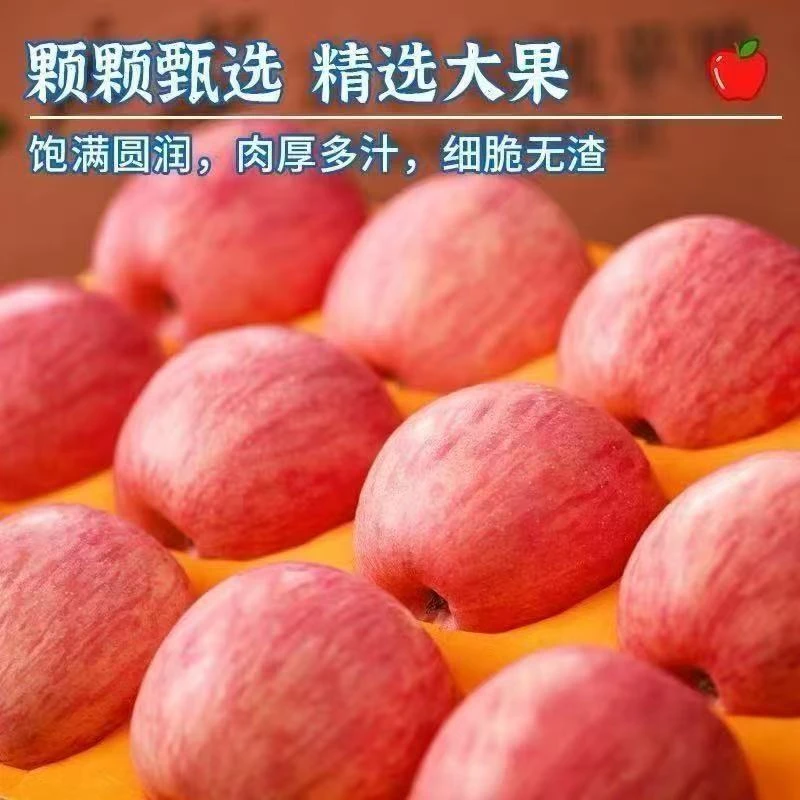 正宗山东红富士苹果脆甜多汁新鲜水果产地直发