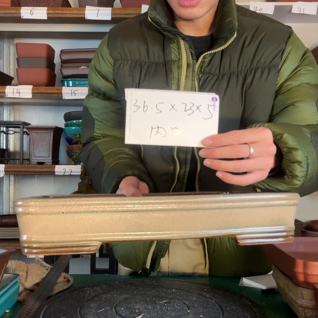计划个反反复复聚餐