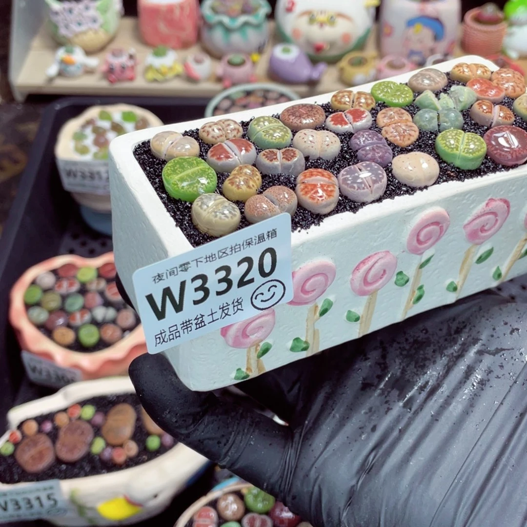 夜间零下地区拍保温箱w3320