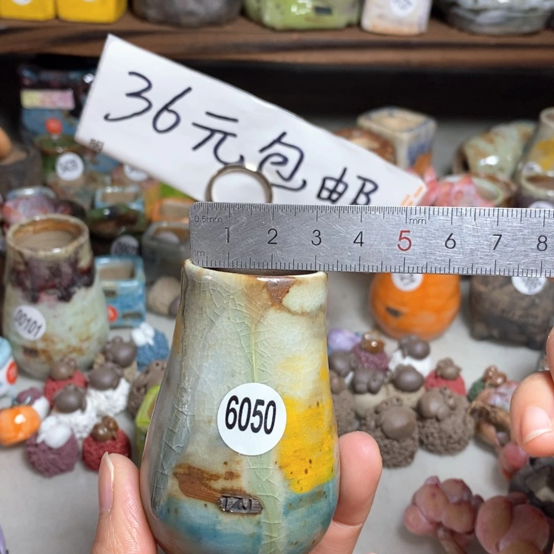 拍5送一个小礼物