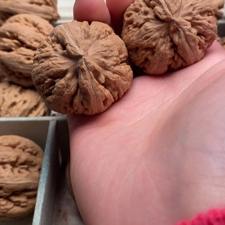 广***生手串文玩核桃霸王龙