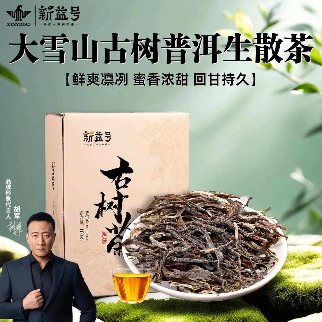 新益号普洱茶生茶叶2024春茶大雪山古树茶100g官方旗舰店古树散茶