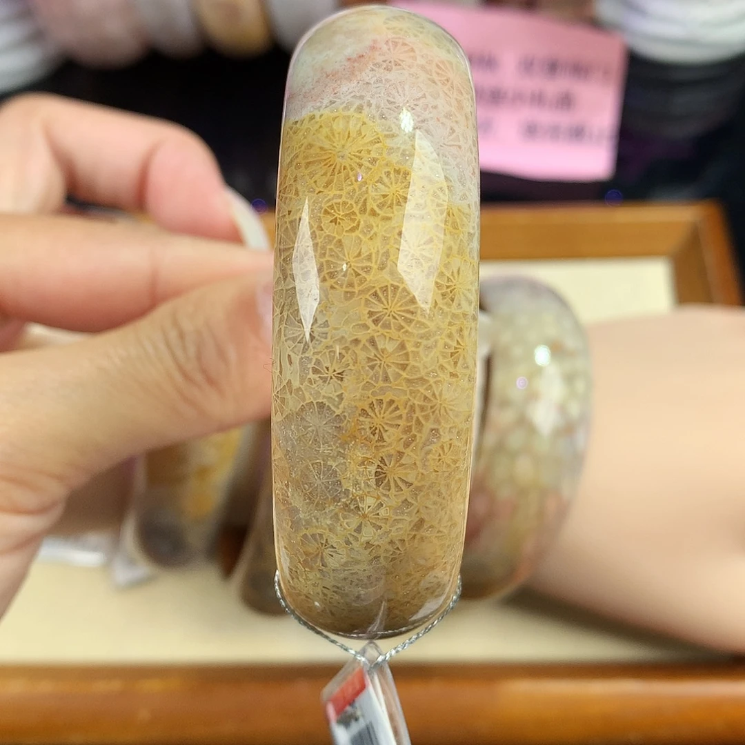 硅化珊瑚（珊瑚玉）未镶嵌吊坠(赠链)29号56圈口
