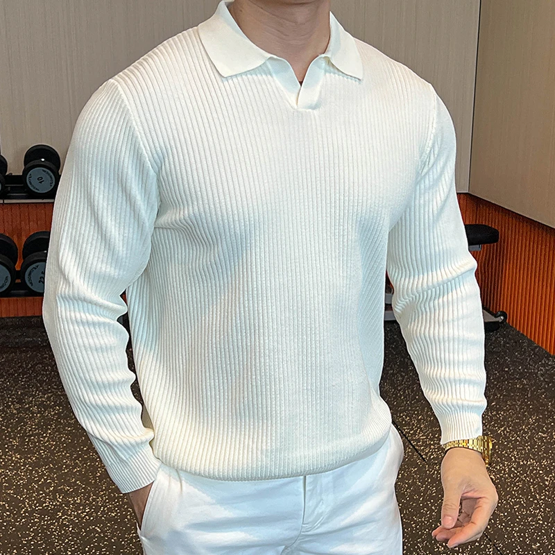 春秋季男士海鸥领高级感毛衣长袖针织衫翻领POLO衫极简风纯色宽松