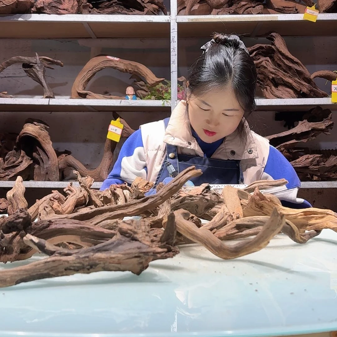 倍褚沉木不包损必褪色啊***。6346玲珑木枝条