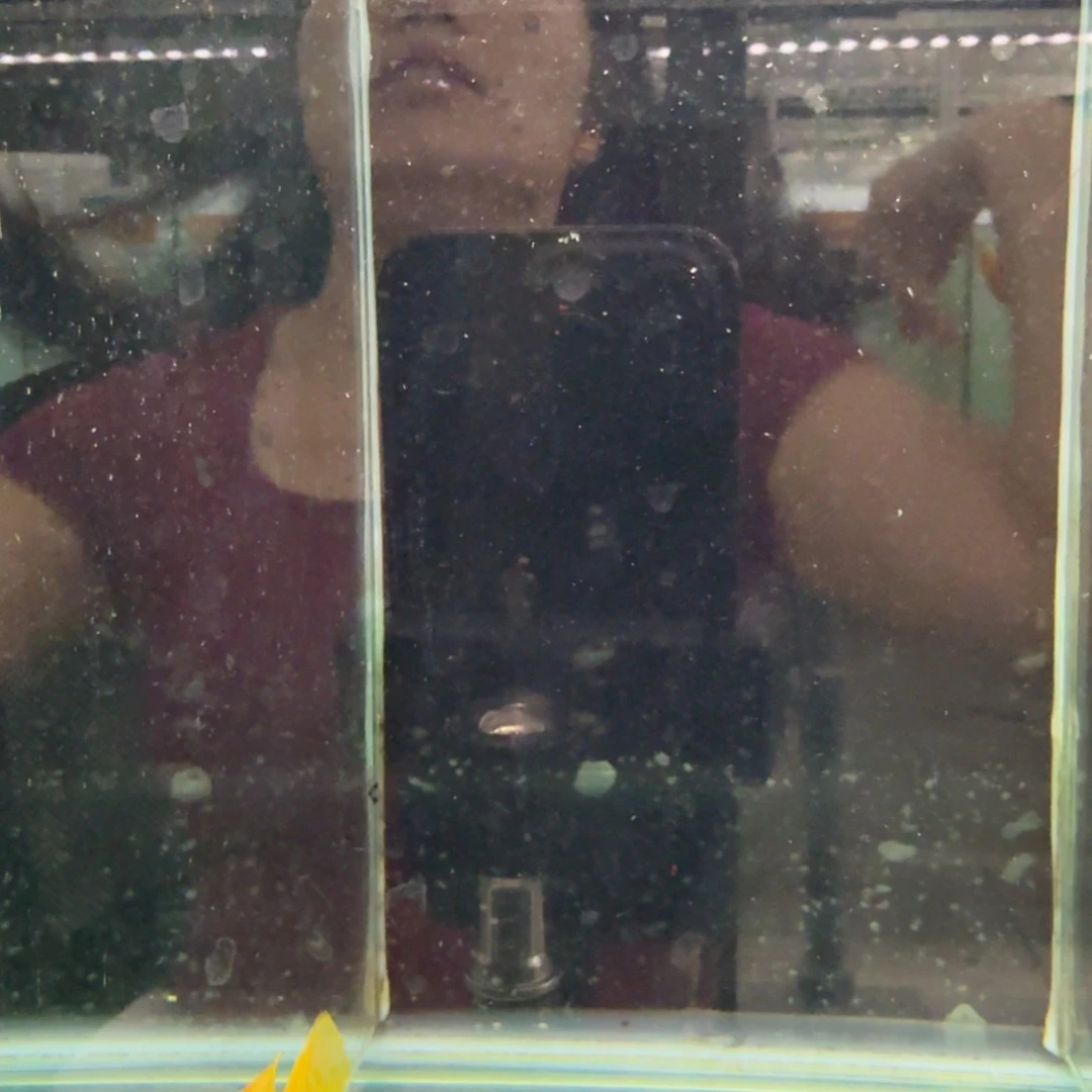 慈鲷1234布隆迪。