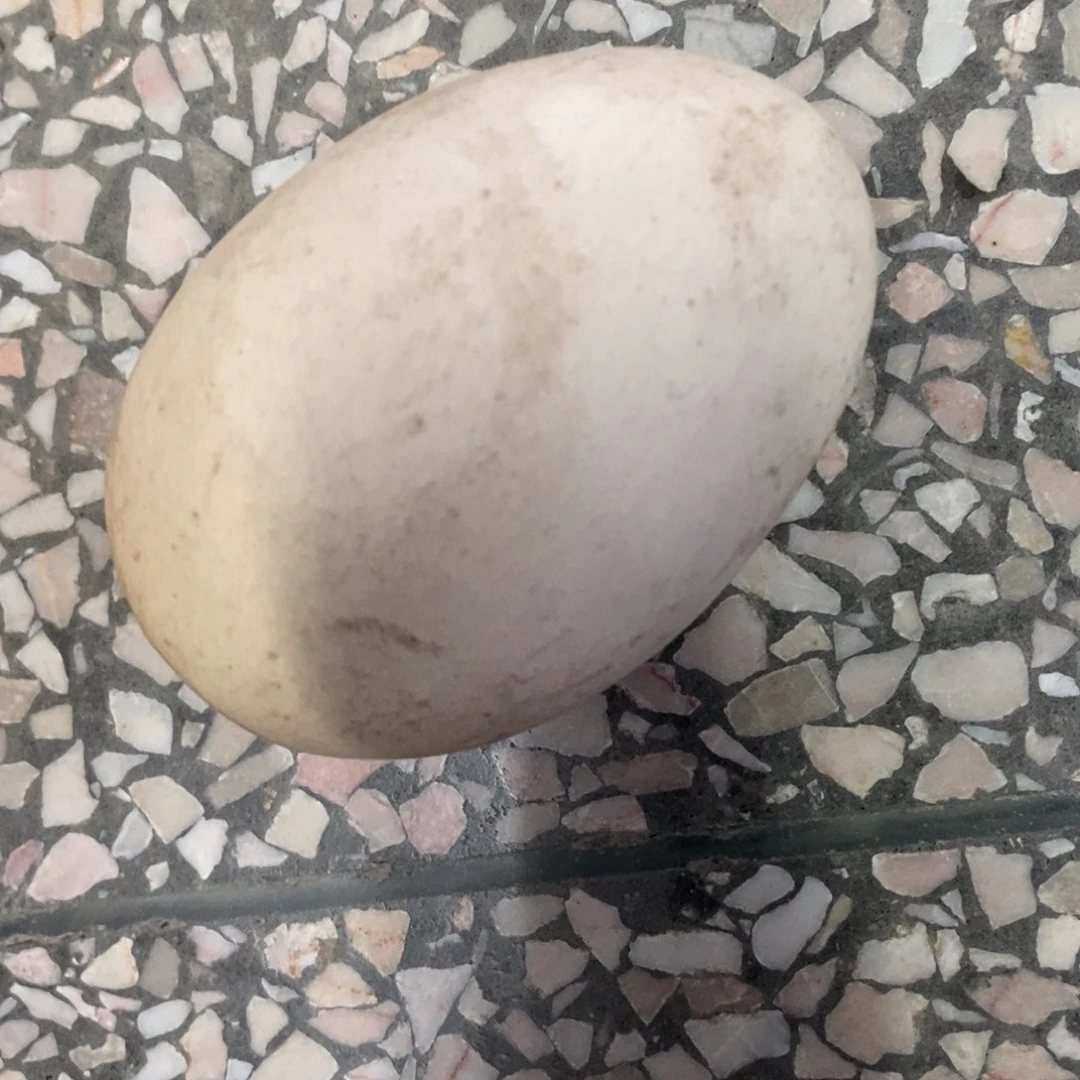 茶壶紫砂紫砂知道