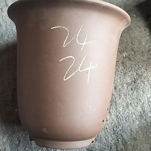 特大金钟一个花盆花泥