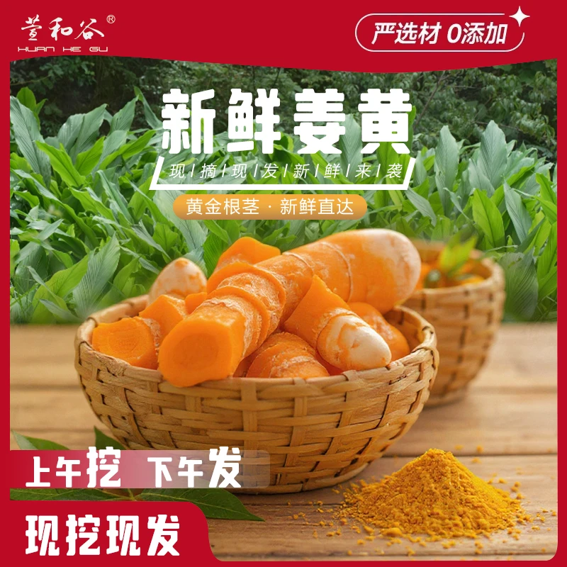 [萱和谷]姜黄 1斤装 现摘现挖生态种植生姜黄500g