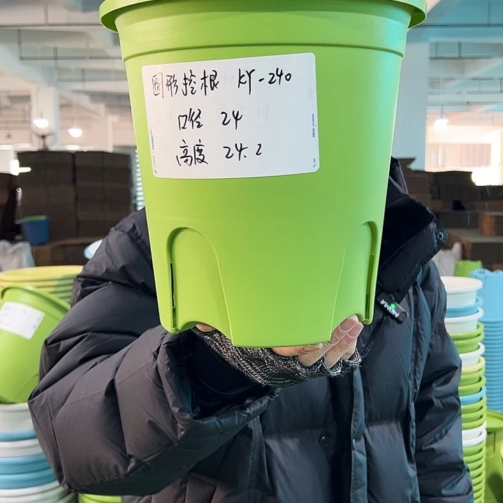 正品圆控口24高24果绿无托8只