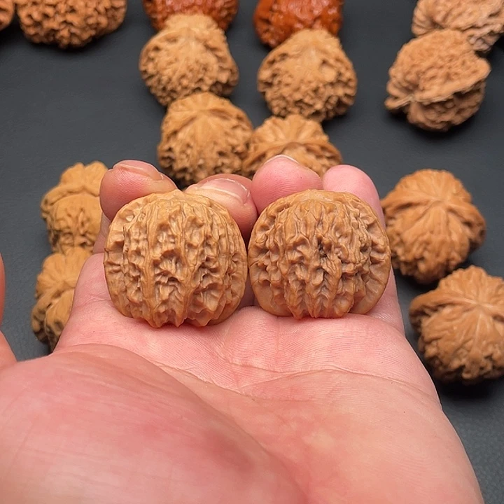 核桃红豆狮子头35尺寸