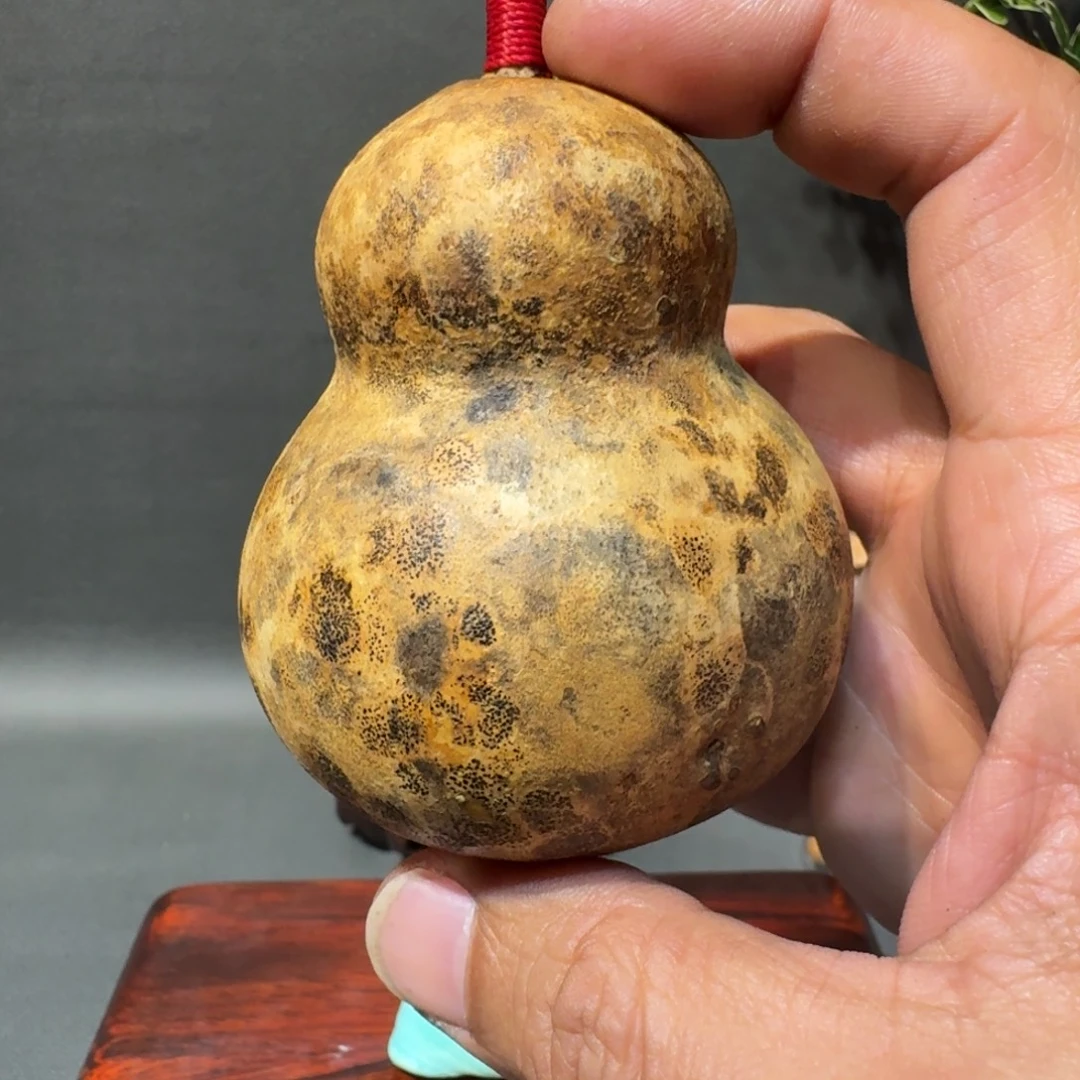 子***9嘎嘎嘎嘎嘎嘎嘎嘎嘎