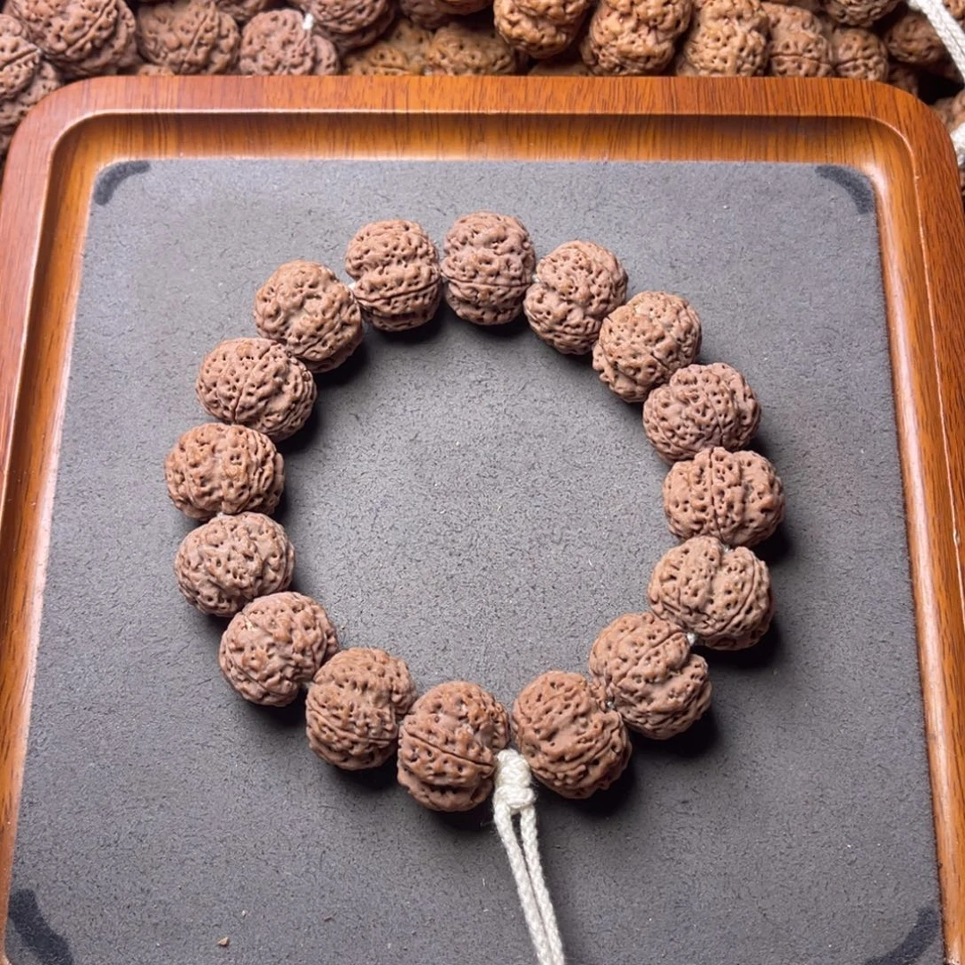 菩提籽类29号金刚菩提深沟梁梅花20