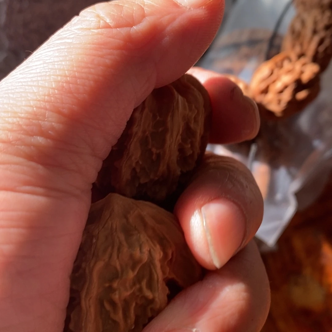 秦岭南侧和东北北部分别