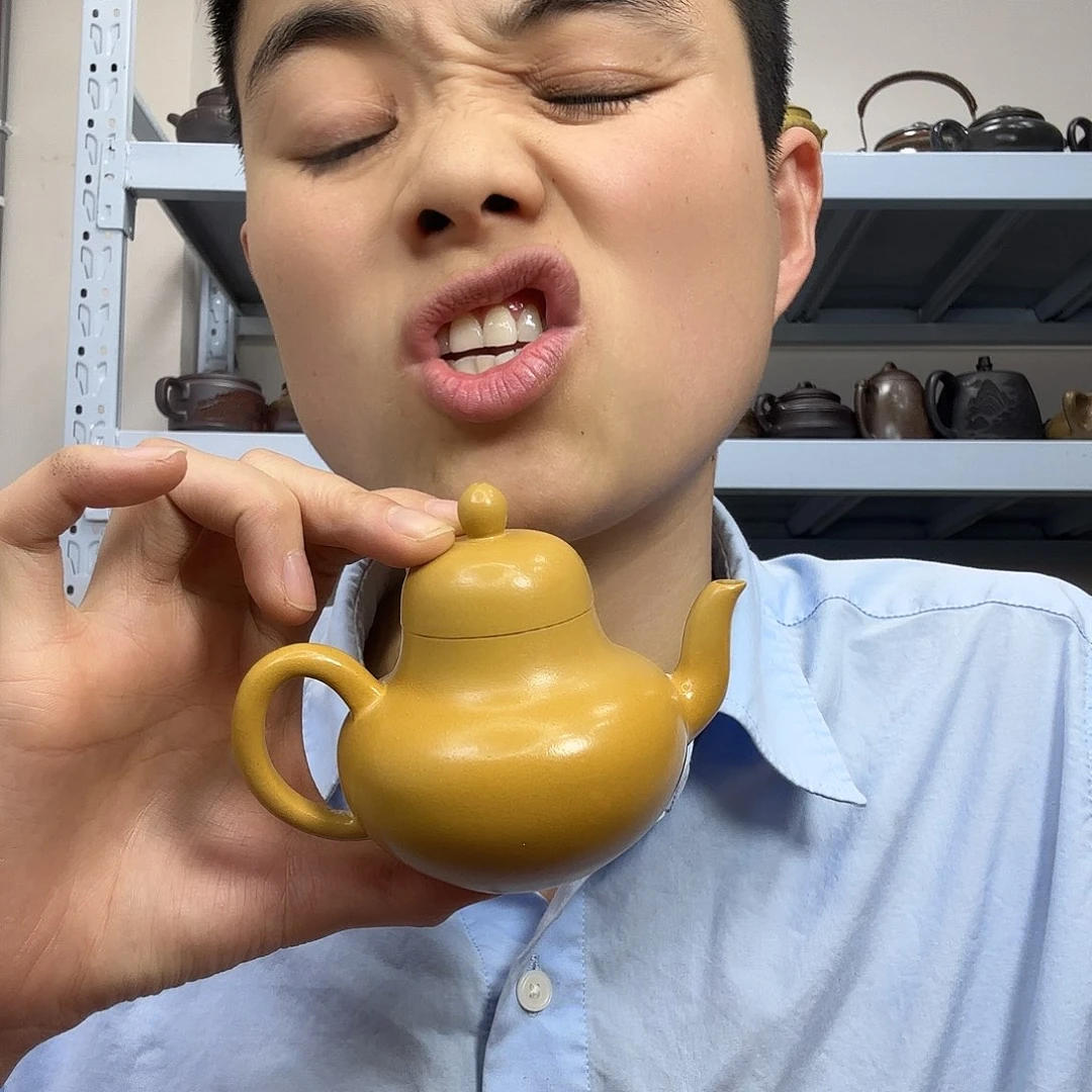 茶壶紫砂民间手艺人全手工制作