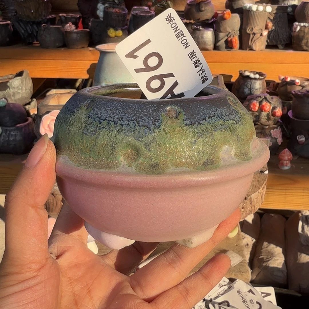 重庆小燕子欢迎大家961