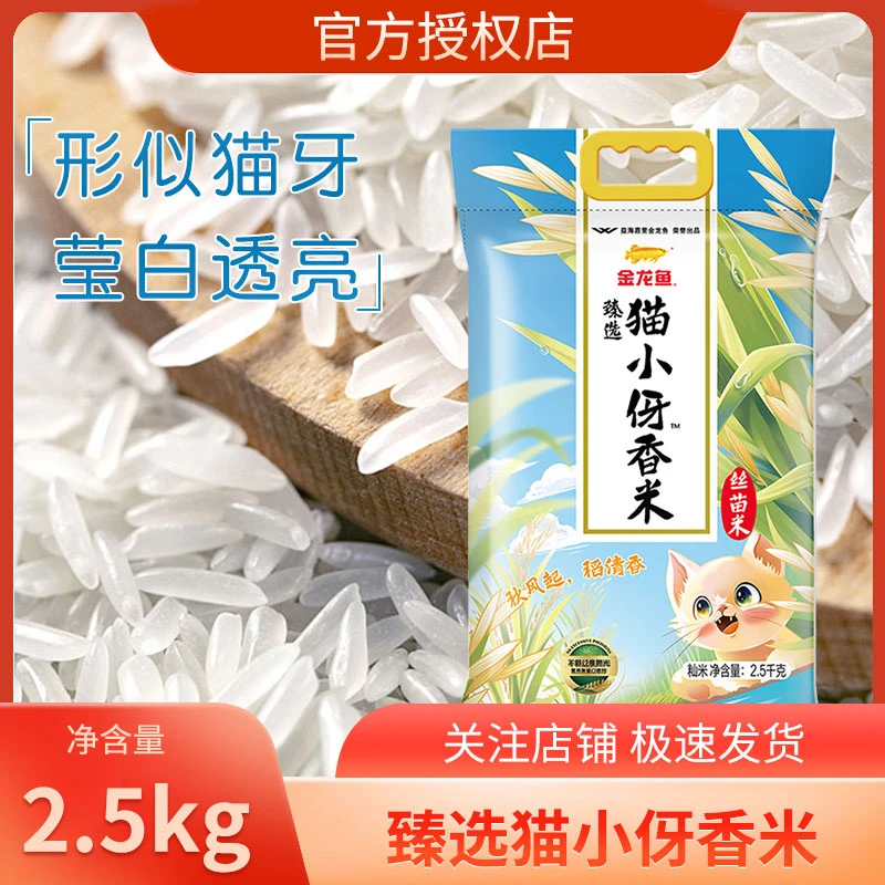 25年产5斤装金龙鱼臻选猫小伢米2.5kg/袋南方大米煮饭煲粥包邮