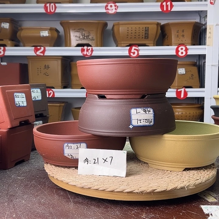 紫砂花盆蛇年大吉