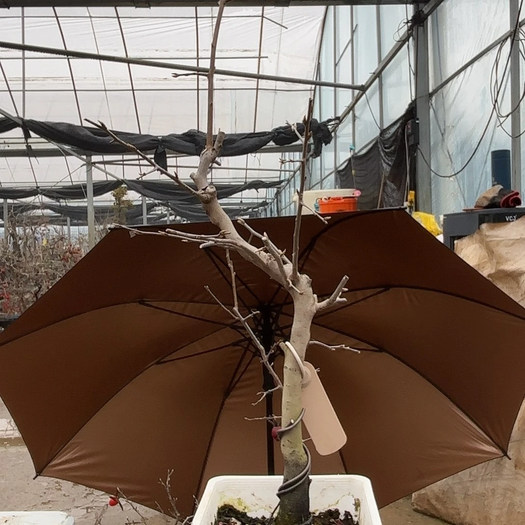 楼***哥，哈哈哈哈哈哈哈哈