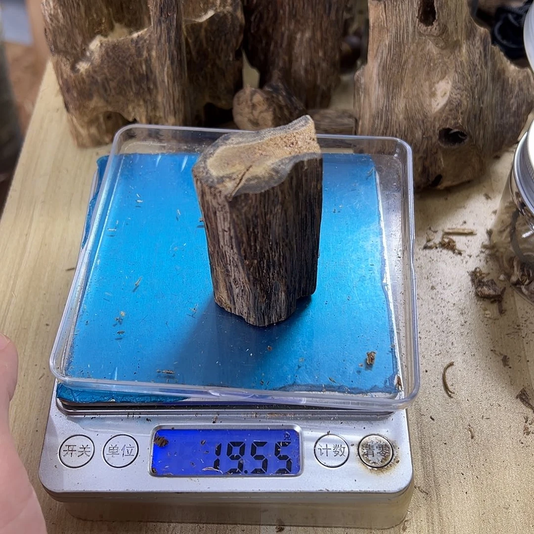 香料绿奇楠虫漏19克白棋