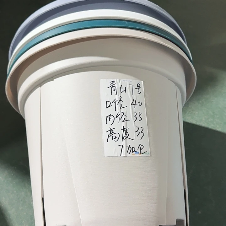 老青山7号灰白无托5个