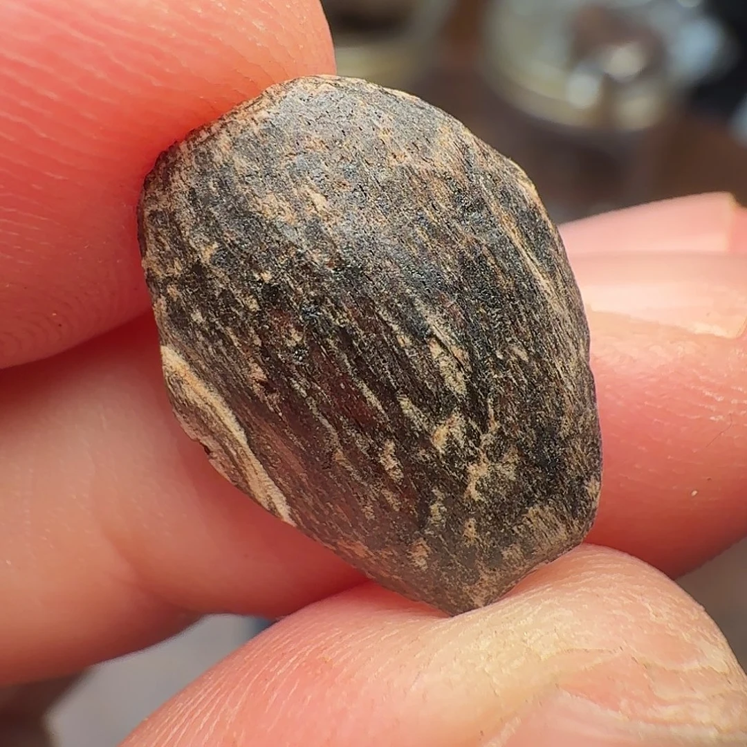 沉香惠东棋韵瓜子