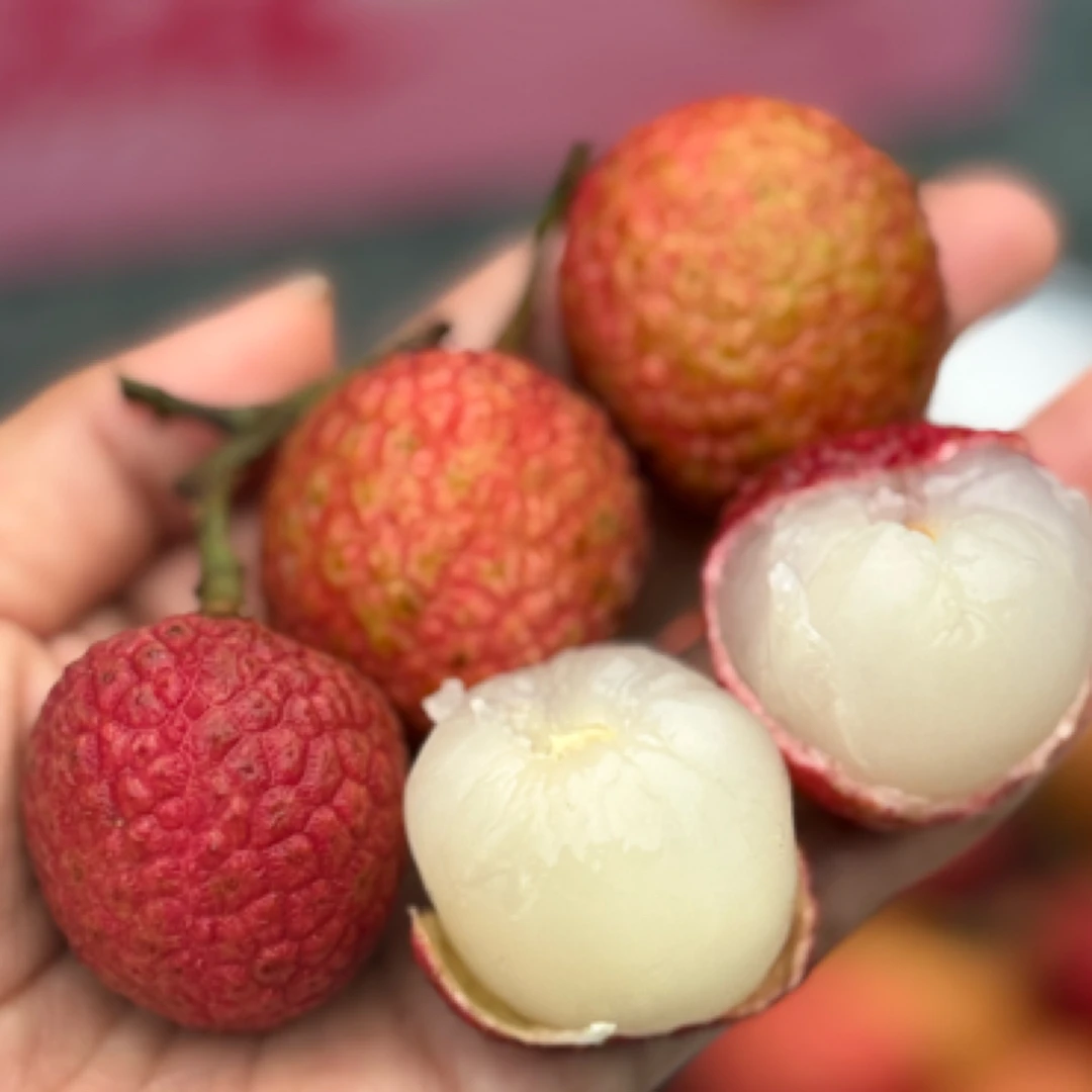 白糖罂 荔枝 果味清新 新鲜 口感棒