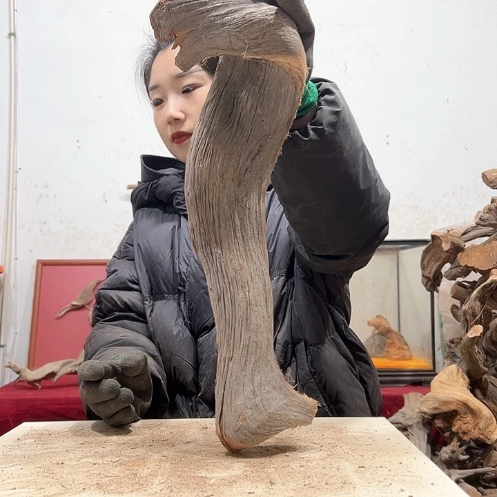 柏木阿****装我们的生活也