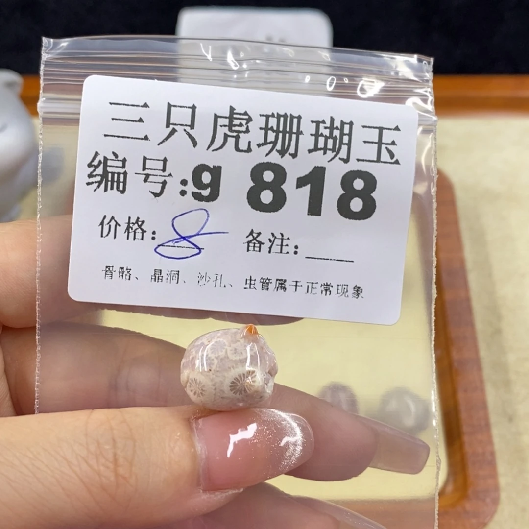 硅化珊瑚（珊瑚玉）未镶嵌1呆***！