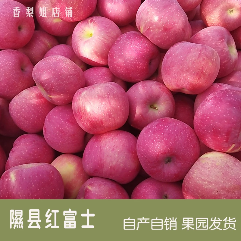山西大果红富士奶油富士苹果新鲜当季应季水果脆甜多汁皮薄肉厚