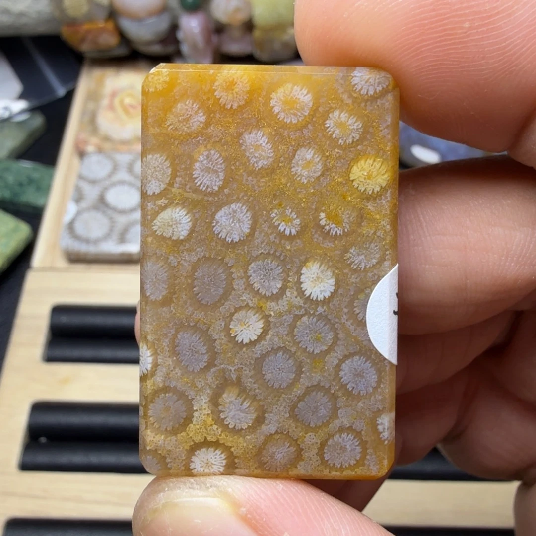 硅化玉未镶嵌纯天然色有机玉石保真色