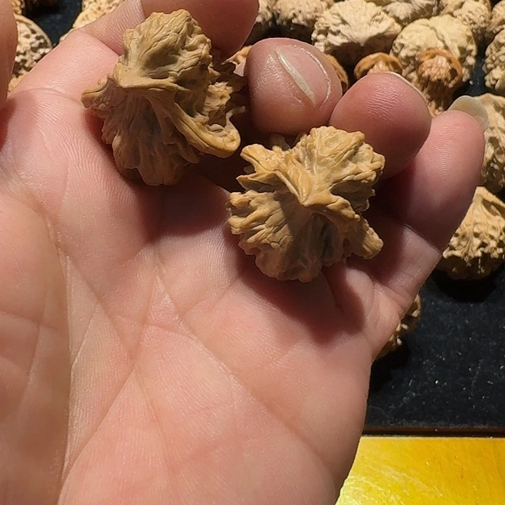 万***通小鸟不退不换边2.9高