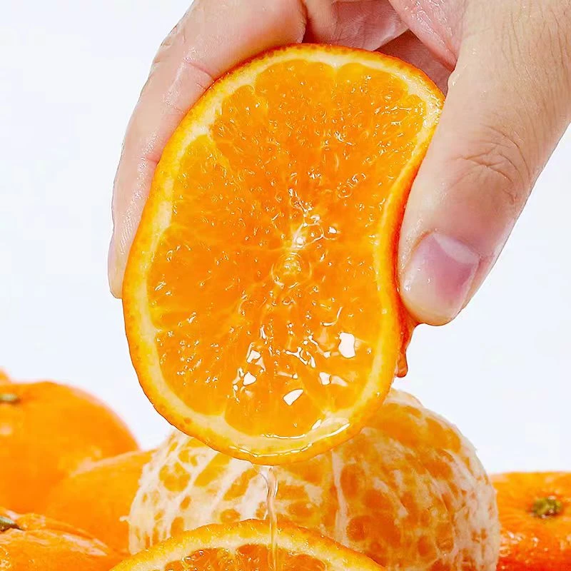 雾柑 新鲜清甜多汁