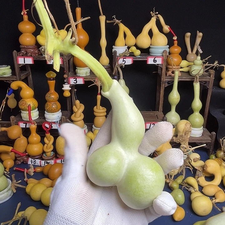 C***r青皮双胞胎怀抱子葫芦