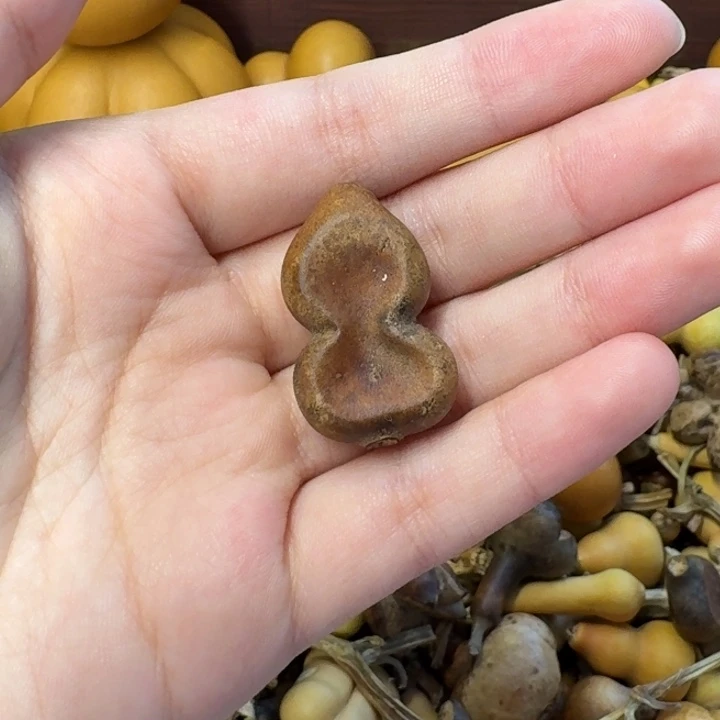 葫芦葫芦葫芦不包邮