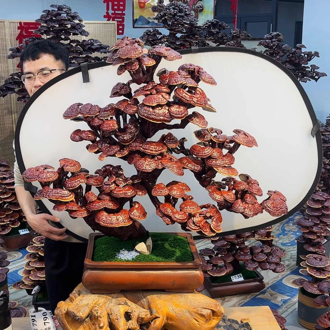 【闪购商品】80088