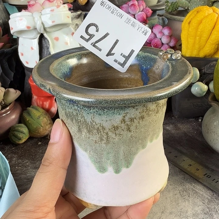重庆小燕子欢迎大家175