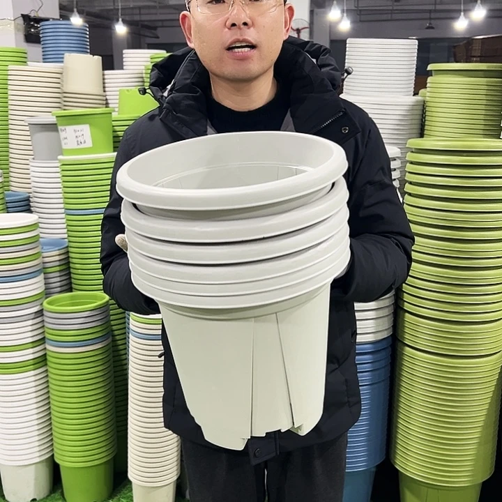 清仓青山口32高28灰白色5只无托