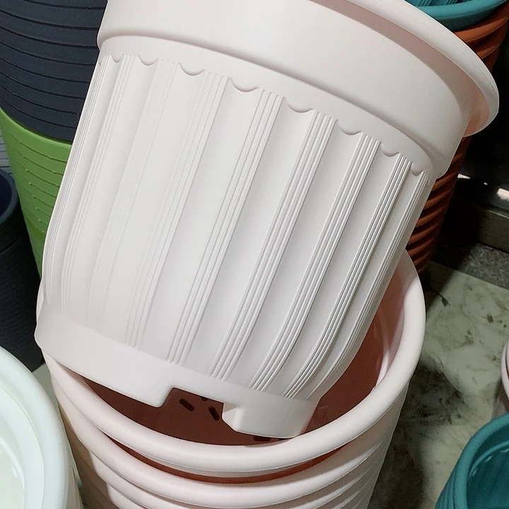 罗马口32粉3个无托