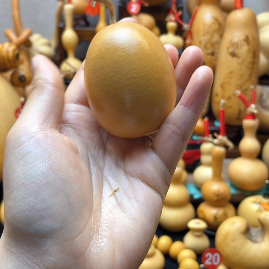 一**象大自然的秘密第十一节你是谁